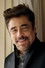 Benicio del Toro