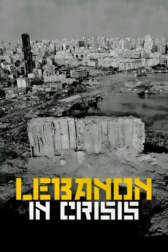 لبنان في أزمة