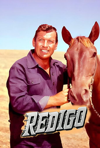 ريديجو