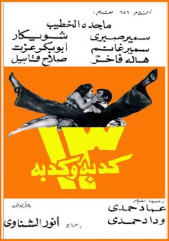 13 كذبة