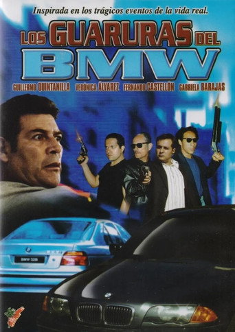 ضمانات BMW