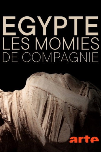 الكلاب المحنطة الغامضة في مصر القديمة