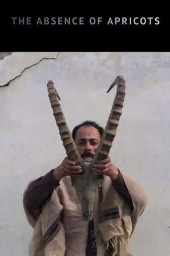غياب المشمش
