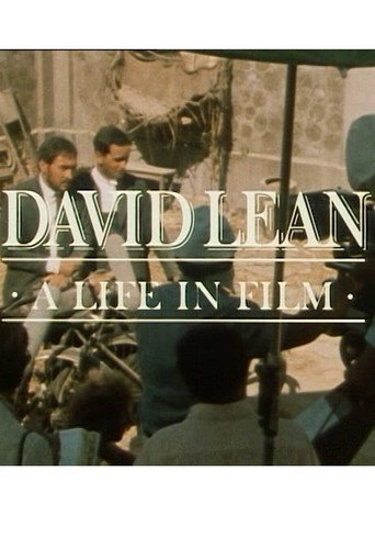 ديفيد لين: حياة في الفيلم