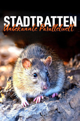 ستادتراتن - Unbekannte Parallelwelt