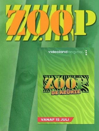 ZOOP: لم الشمل