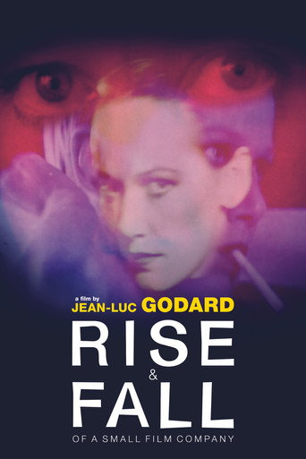 صعود وسقوط شركة أفلام صغيرة