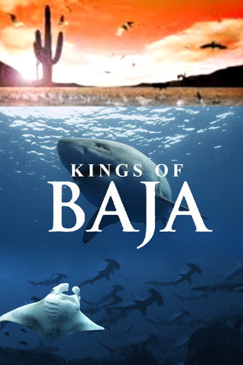 ملوك باجا