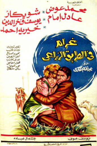 الحب على الطريق الزراعي