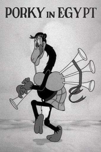 خنزير في مصر