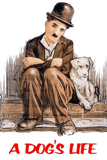 حياة الكلب
