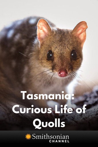 تسمانيا: حياة غريبة من Quolls