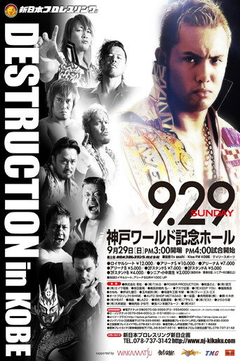 تدمير NJPW 2013