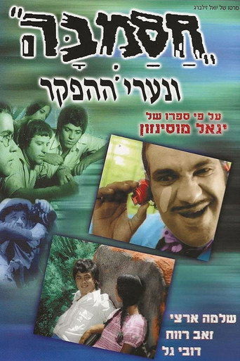 هاسامبا