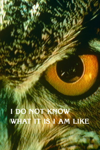 أنا لا أعرف ما هو عليه أنا مثل