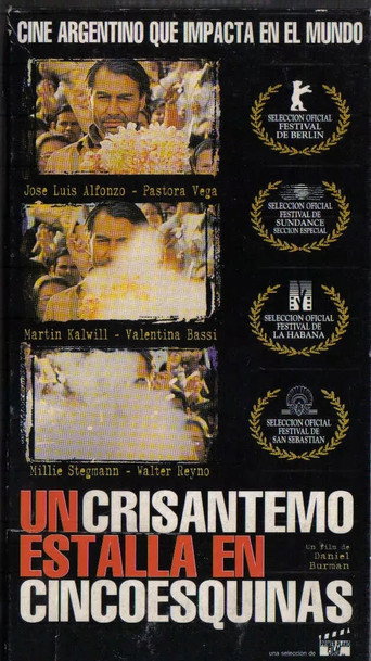 انفجار أقحوان في Cincoesquinas