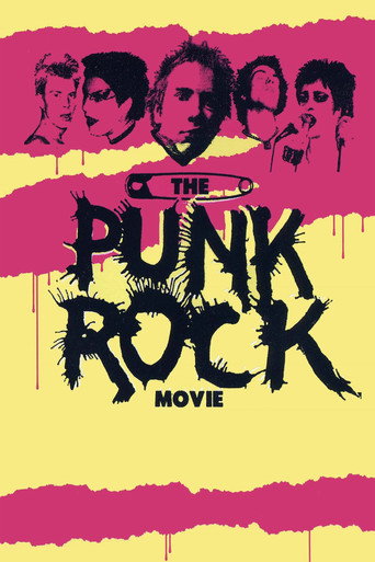فيلم البانك روك