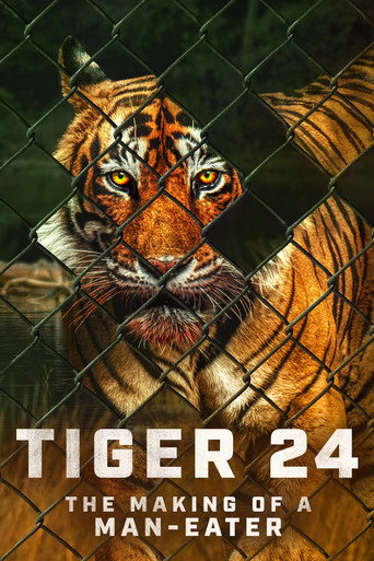 النمر 24