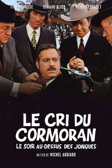 Le Cri du cormoran، le soir au-dessus des jontques