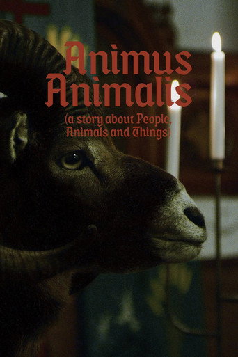 Animus Animalis (قصة عن الناس والحيوانات والأشياء)