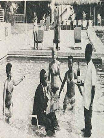 الوافد الجديد