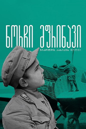 غوجي - الطيار الشاب