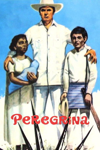 بيريجرينا