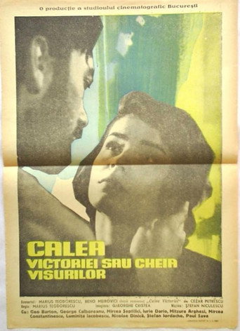 Calea Victoriei أو cheia visurilor