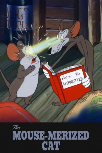 القطة الفأرية