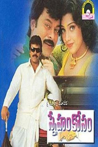 سنهام قاسم