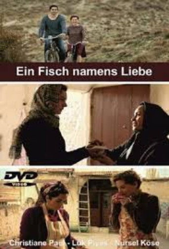 عين فيش تسمي ليبي