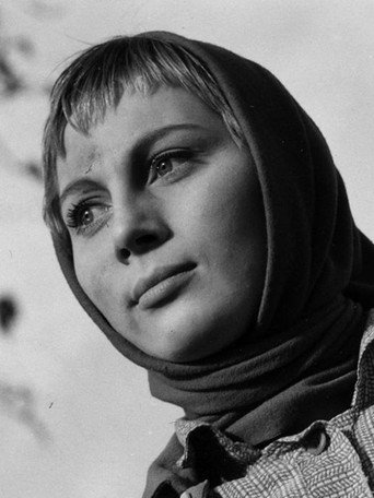 كريستين
فيلم أمريكي رعب من إخراج جون كاربنتر، صدر في عام 1983، ويحكي قصة شاب يتعرف على سيارة قديمة اسمها كريستين، ويصبح معها علاقة خاصة.