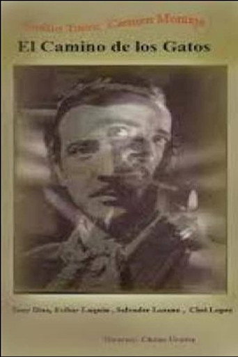 طريق القطط