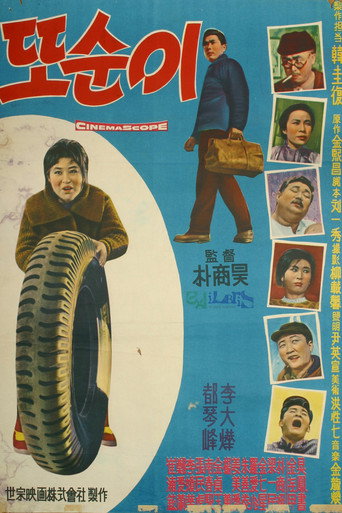 توسوني: ولادة السعادة
