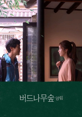 غابة شجرة الصفصاف يانجنيم