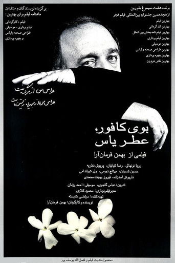 رائحة الكافور، عطر الياسمين