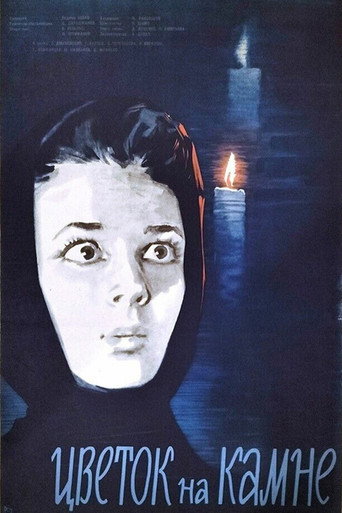 زهرة على الحجر