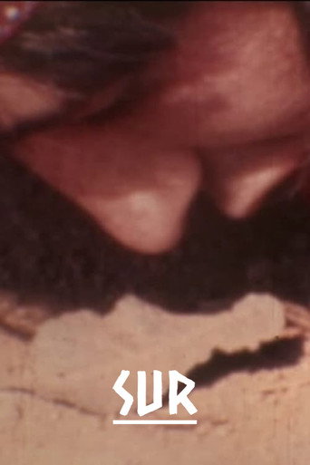 جنوب