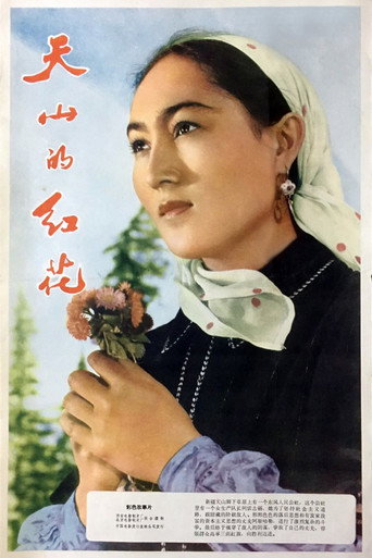 القرطم تيانشان