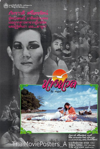 النورس