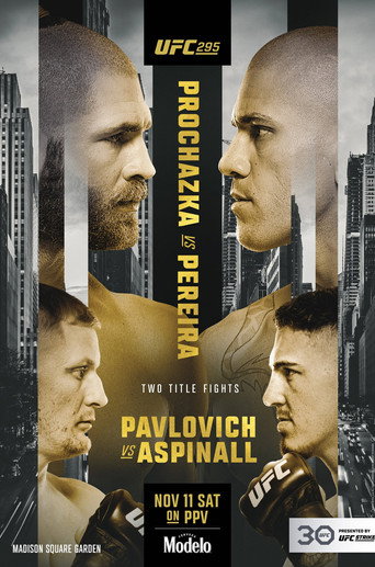 UFC 295: بروتشازكا ضد بيريرا