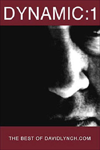 Dynamic:01: أفضل ما في DavidLynch.com
