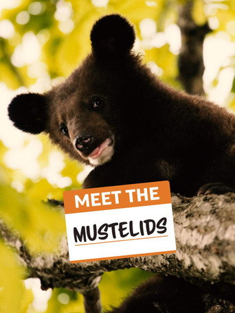 تعرف على Mustelids
