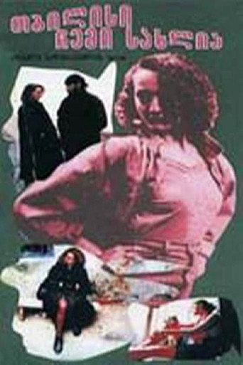 تبليسي هي بيتي