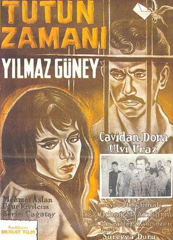 توتون زماني