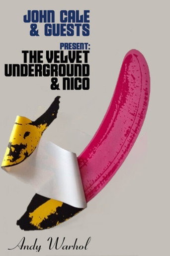 جون كال وضيف - أداء The Velvet Underground & Nico