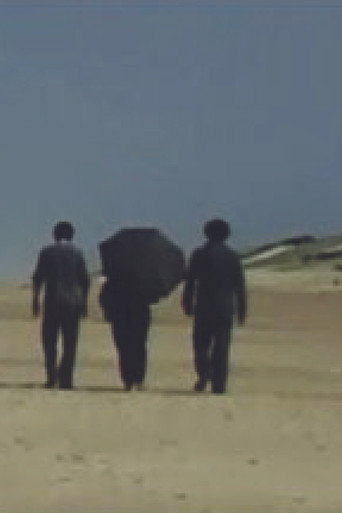 النوافذ مفتوحة