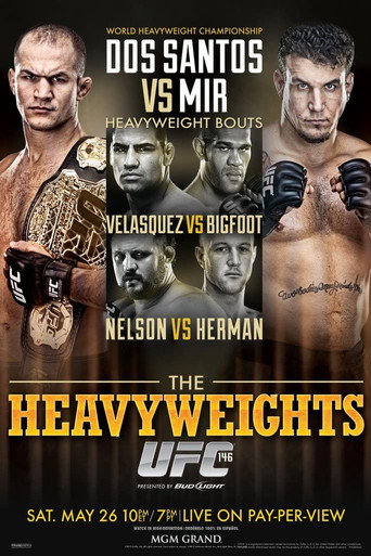 UFC 146: دوس سانتوس ضد مير