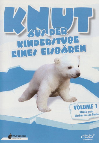 كنوت - Aus der Kinderstube eines Eisbären