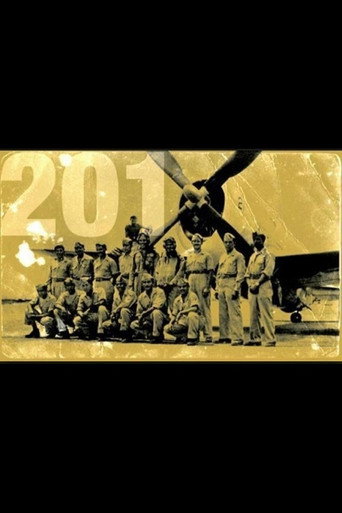 اسكوادرون 201